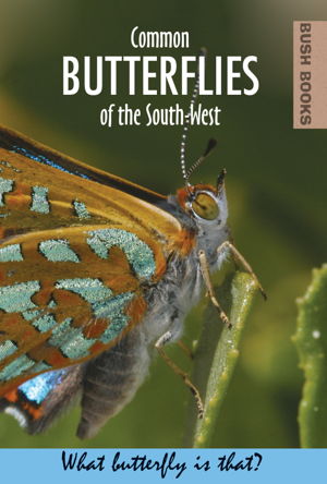 Cover art for Common Butterflies of the South West