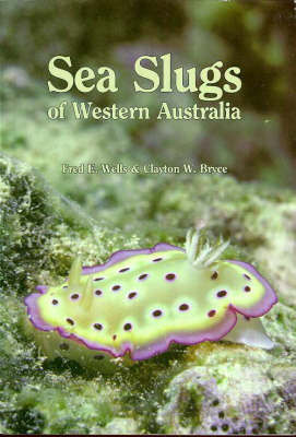 Cover art for Sea Slugs of Western Australia
