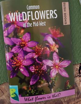 Cover art for Common Wildflowers of the Mid West