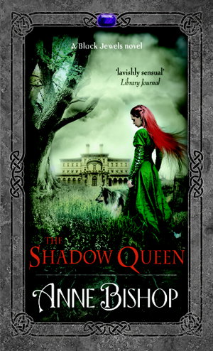 Cover art for The Shadow Queen