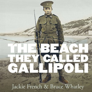 Cover art for The Beach They Called Gallipoli