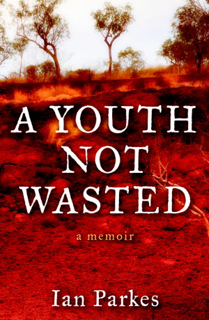 Cover art for A Youth Not Wasted