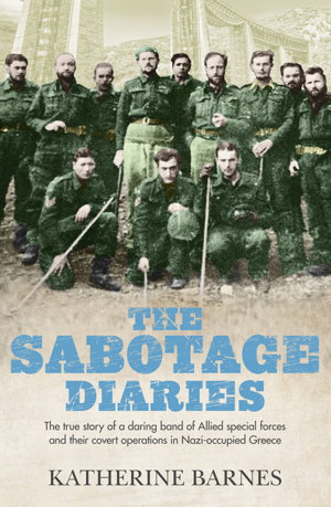 Cover art for The Sabotage Diaries