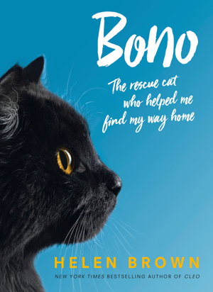 Cover art for Bono