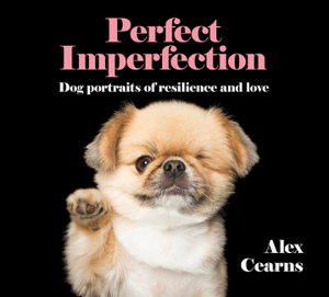 Cover art for Perfect Imperfection