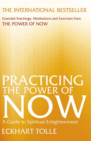 Cover art for Practicing the Power of Now
