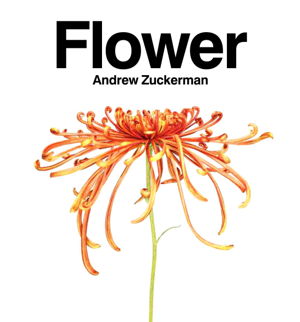 Cover art for Flower
