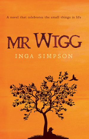 Cover art for Mr Wigg