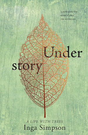 Cover art for Understory