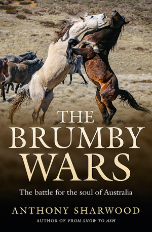 Cover art for The Brumby Wars