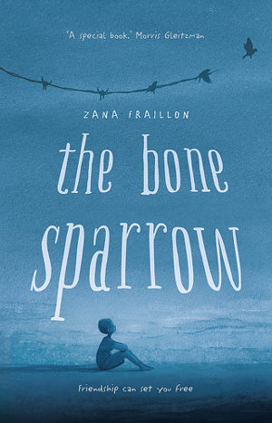 Cover art for The Bone Sparrow