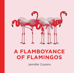 Cover art for A Flamboyance of Flamingos