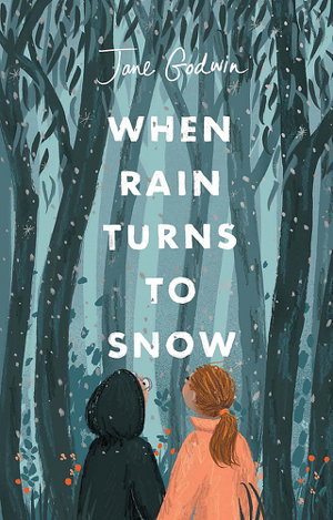 Cover art for When Rain Turns to Snow