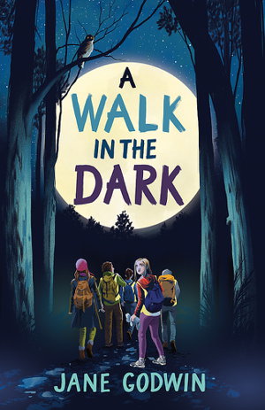 Cover art for Walk in the Dark