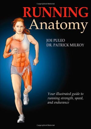 Cover art for Running Anatomy