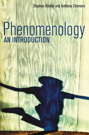 Cover art for Phenomenology an Introduction
