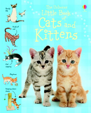 Cover art for Little Book of Cats and Kittens