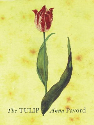 Cover art for The Tulip