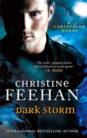 Cover art for Dark Storm