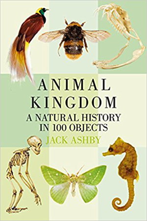 Cover art for Animal Kingdom