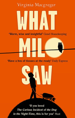 Cover art for What Milo Saw