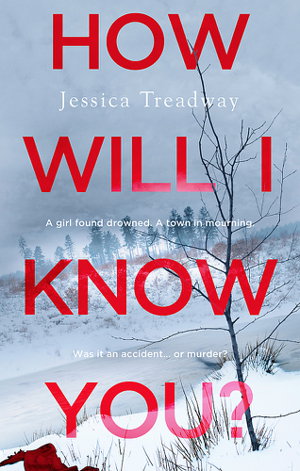 Cover art for How Will I Know You?