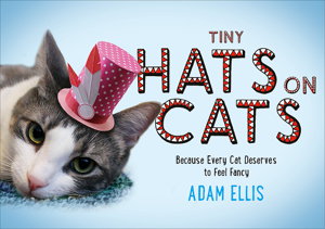 Cover art for Tiny Hats on Cats