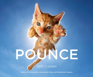 Cover art for Pounce