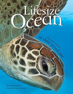 Cover art for Ocean Life Size