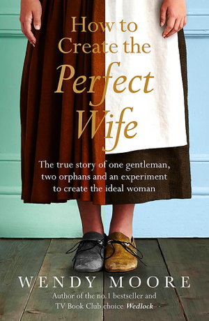 Cover art for How to Create the Perfect Wife