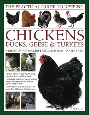 Cover art for Practical Guide to Keeping Chickens, Duck, Geese & Turkeys