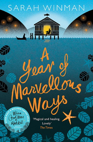 Cover art for A Year of Marvellous Ways