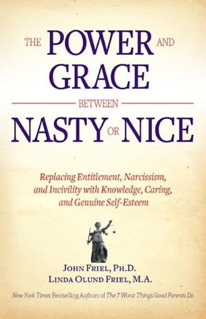 Cover art for Power and Grace Between Nasty or Nice Replacing Entitlement Narcissism and Incivility with Knowledge Caring and Genuine