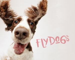Cover art for Flydogs