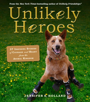Cover art for Unlikely Heroes