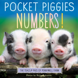 Cover art for Pocket Piggies Numbers!