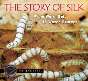 Cover art for The Story of Silk: From Worm Spit to Woven Scarves