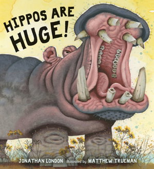 Cover art for Hippos Are Huge!