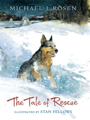 Cover art for The Tale of Rescue