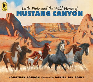 Cover art for Little Pinto And The Wild Horses Of Mustang Canyon