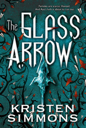 Cover art for The Glass Arrow