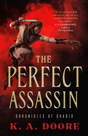 Cover art for Perfect Assassin