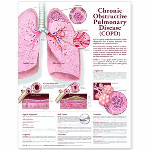 Cover art for Chronic Obstructive Pulmonary Disease Anatomical Chart