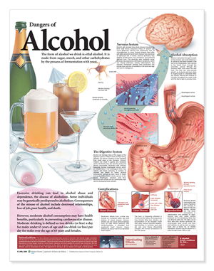 Cover art for Dangers of Alcohol Anatomical Chart
