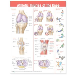 Cover art for Athletic Injuries of the Knee Anatomical Chart