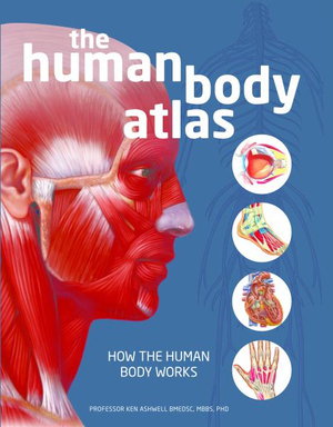 Cover art for The Human Body Atlas