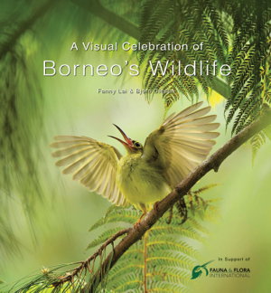 Cover art for Visual Celebration of Borneo's Wildlife