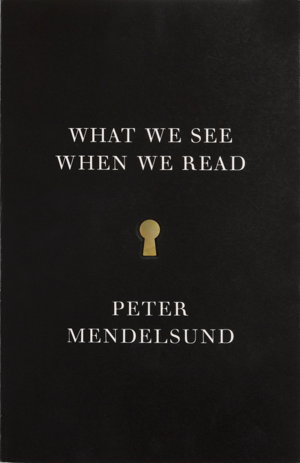 Cover art for What We See When We Read