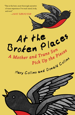 Cover art for At the Broken Places