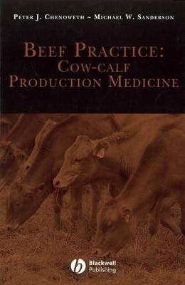 Cover art for Beef Practice